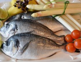 fish-display-case-cabinets-custom 