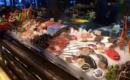 Fish-display_59 